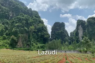 Discover a Slice of Paradise in Sai Thai, Krabi