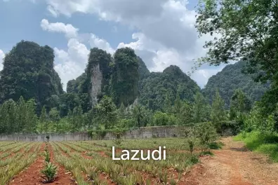 Discover a Slice of Paradise in Sai Thai, Krabi
