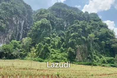 Discover a Slice of Paradise in Sai Thai, Krabi