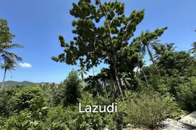 Several Sea View Land Plots Available – Peaceful Location