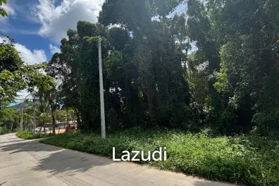 YELLOW ZONE 496sqm  Flat triangle land Ideal investment
