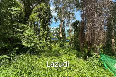 YELLOW ZONE 496sqm  Flat triangle land Ideal investment