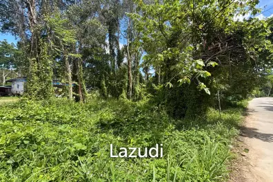 YELLOW ZONE 496sqm  Flat triangle land Ideal investment
