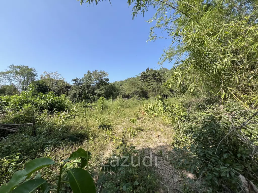 13 Rai of Hilly Land for Sale With a Mountain View