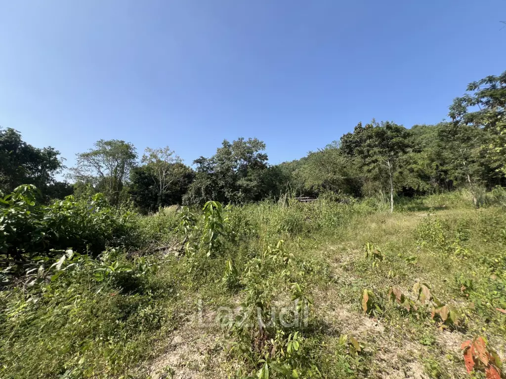 13 Rai of Hilly Land for Sale With a Mountain View