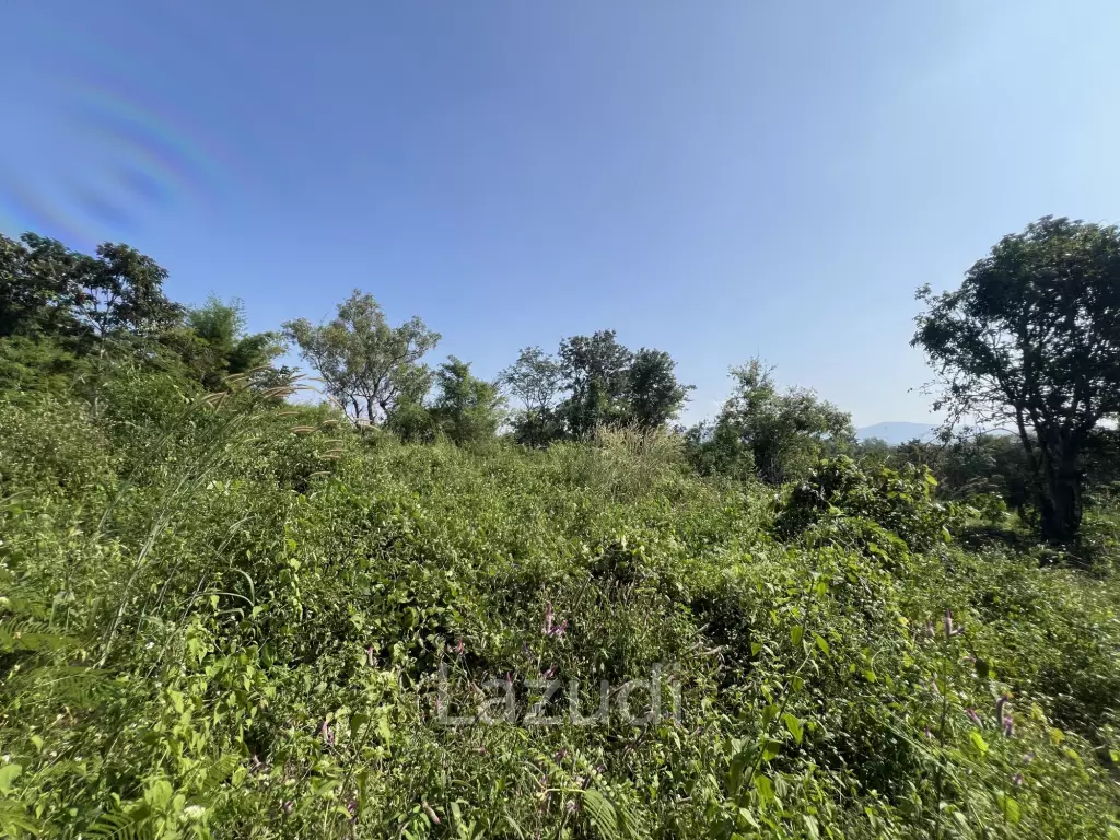 13 Rai of Hilly Land for Sale With a Mountain View