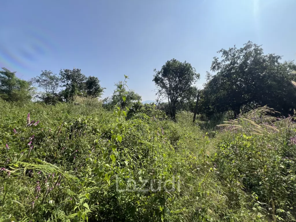 13 Rai of Hilly Land for Sale With a Mountain View