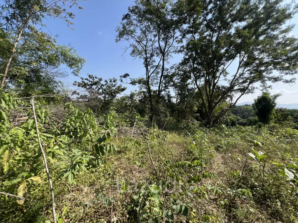13 Rai of Hilly Land for Sale With a Mountain View