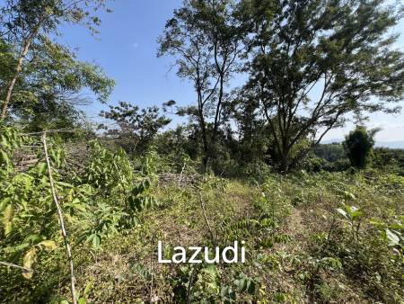 13 Rai of Hilly Land for Sale With a Mountain View