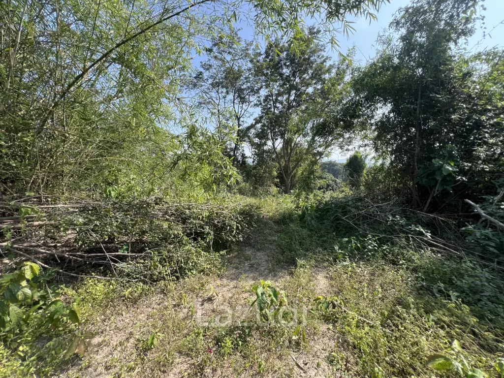 13 Rai of Hilly Land for Sale With a Mountain View