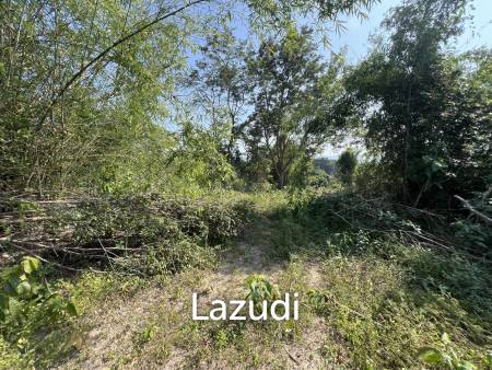 13 Rai of Hilly Land for Sale With a Mountain View