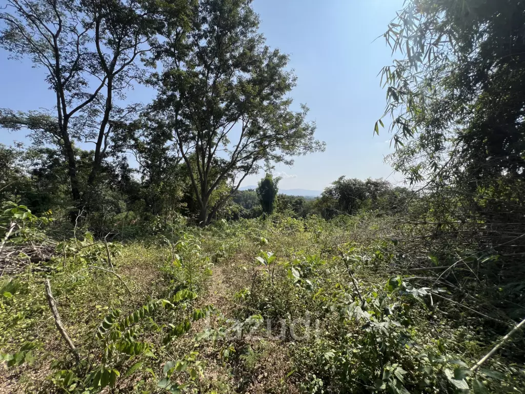 13 Rai of Hilly Land for Sale With a Mountain View
