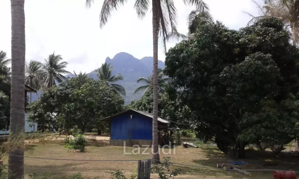 SAM ROI YOT: 4000 SQM – Prime Location for Resort or Development