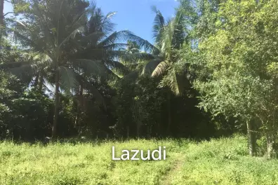 Hot Price! Prime Mae Nam Land 813.2 sqm near Elephant Sanctuary
