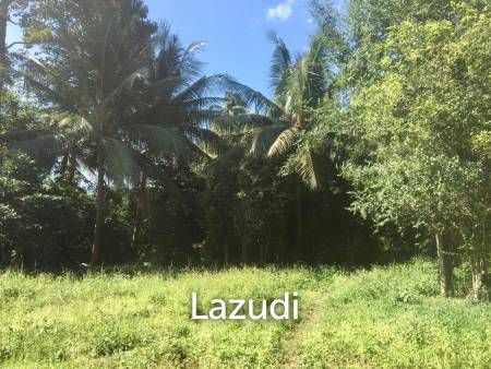 Hot Price! Prime Mae Nam Land 813.2 sqm near Elephant Sanctuary