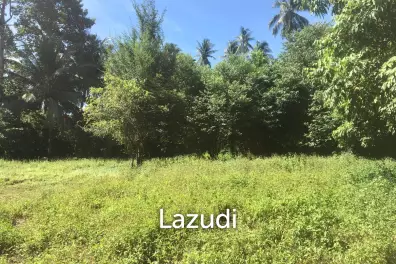 Hot Price! Prime Mae Nam Land 813.2 sqm near Elephant Sanctuary