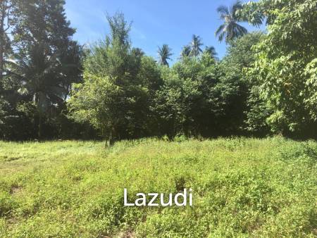 Hot Price! Prime Mae Nam Land 813.2 sqm near Elephant Sanctuary