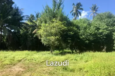 Hot Price! Prime Mae Nam Land 813.2 sqm near Elephant Sanctuary