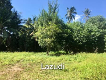 Hot Price! Prime Mae Nam Land 813.2 sqm near Elephant Sanctuary