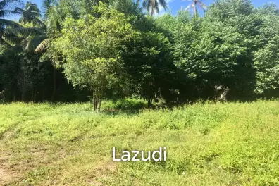 Hot Price! Prime Mae Nam Land 813.2 sqm near Elephant Sanctuary