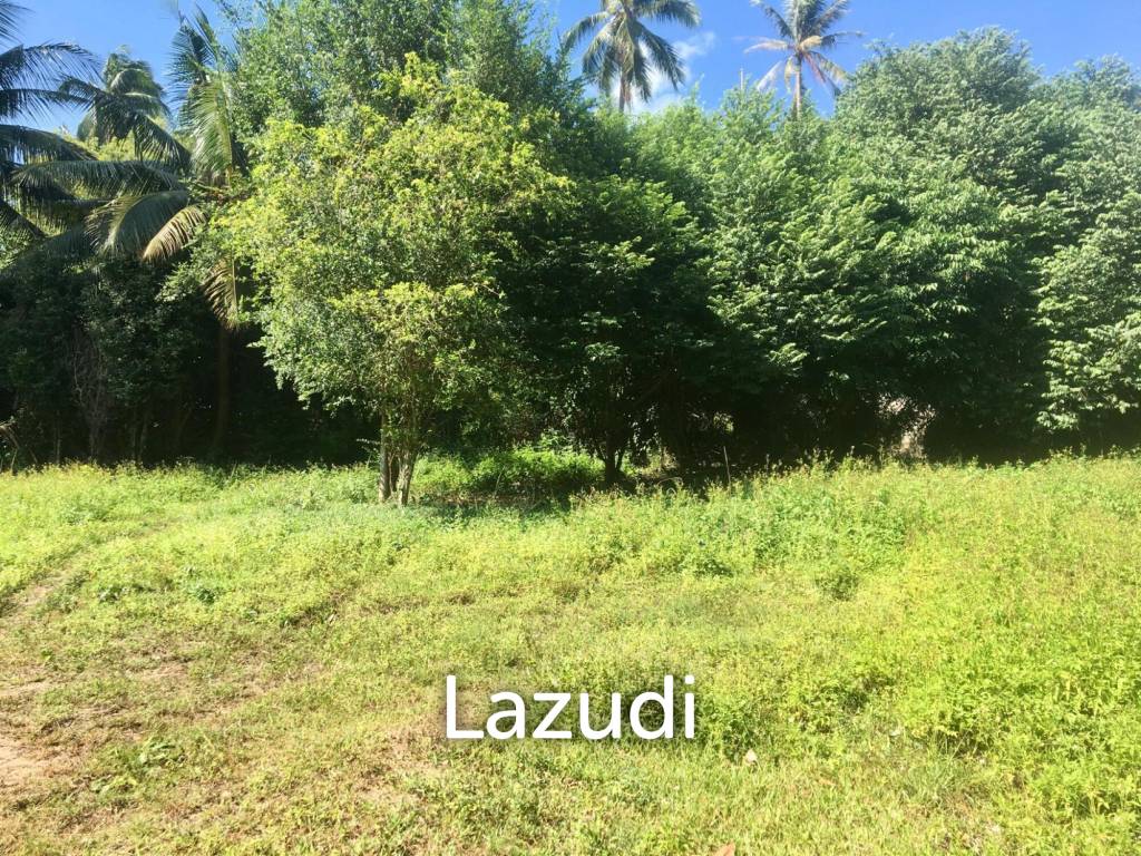 Hot Price! Prime Mae Nam Land 813.2 sqm near Elephant Sanctuary