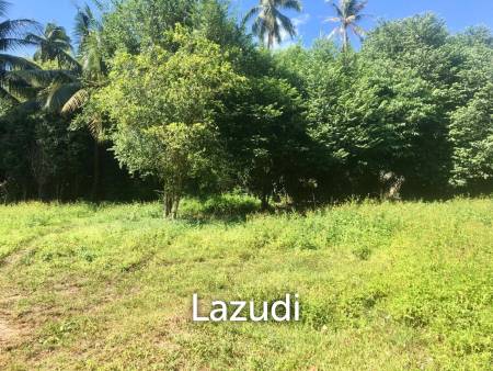 Hot Price! Prime Mae Nam Land 813.2 sqm near Elephant Sanctuary