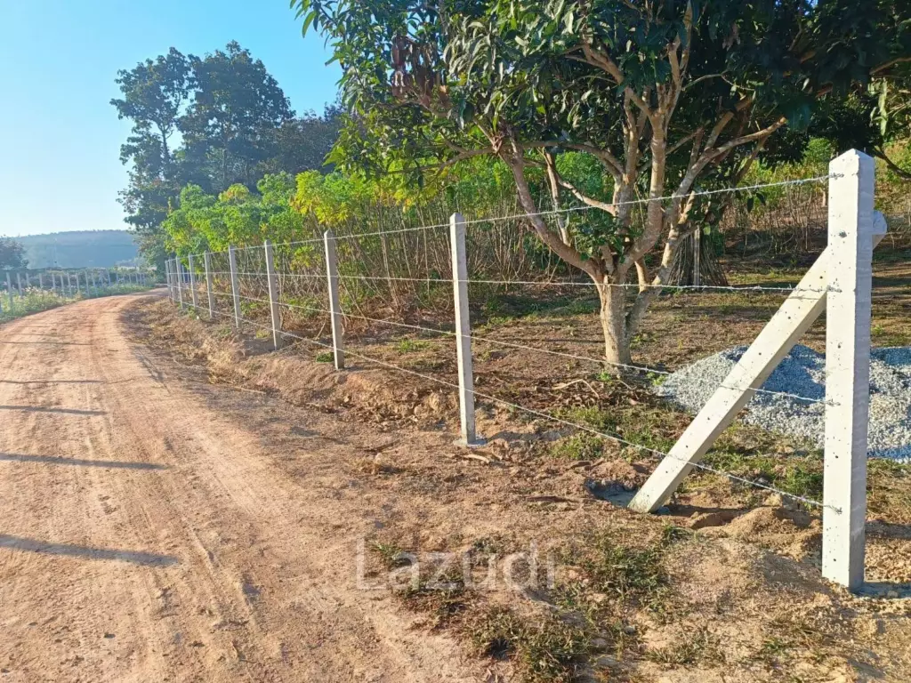 7 Rai Land for Sale Near the Chiang Rai-Chiang Khong Bypass.