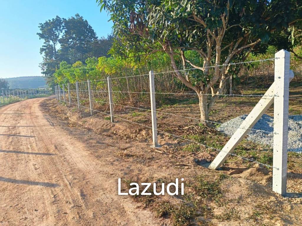 7 Rai Land for Sale Near the Chiang Rai-Chiang Khong Bypass.