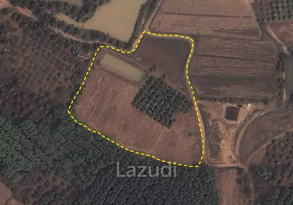 7 Rai Land for Sale Near the Chiang Rai-Chiang Khong Bypass.
