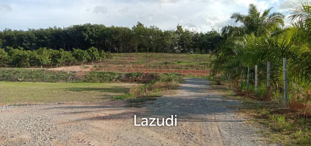 7 Rai Land for Sale Near the Chiang Rai-Chiang Khong Bypass.