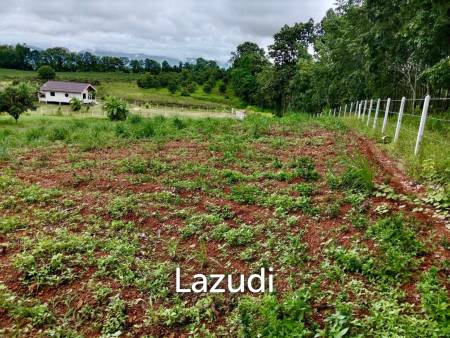7 Rai Land for Sale Near the Chiang Rai-Chiang Khong Bypass.