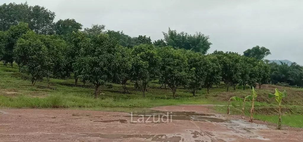 7 Rai Land for Sale Near the Chiang Rai-Chiang Khong Bypass.