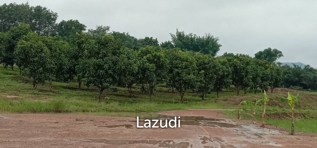 7 Rai Land for Sale Near the Chiang Rai-Chiang Khong Bypass.