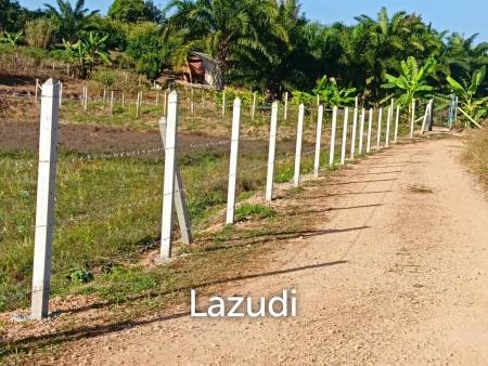 7 Rai Land for Sale Near the Chiang Rai-Chiang Khong Bypass.