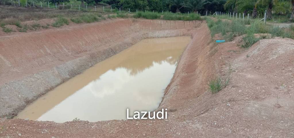 7 Rai Land for Sale Near the Chiang Rai-Chiang Khong Bypass.