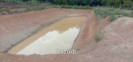 7 Rai Land for Sale Near the Chiang Rai-Chiang Khong Bypass.