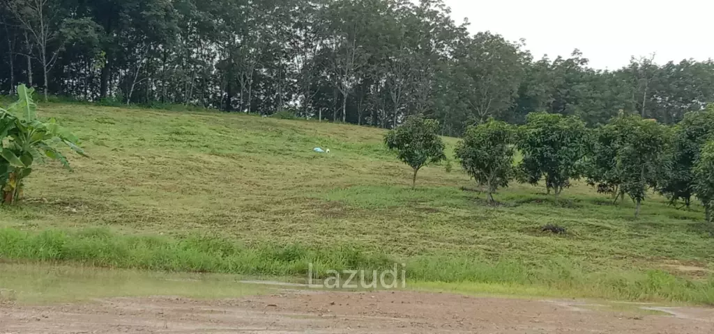 7 Rai Land for Sale Near the Chiang Rai-Chiang Khong Bypass.
