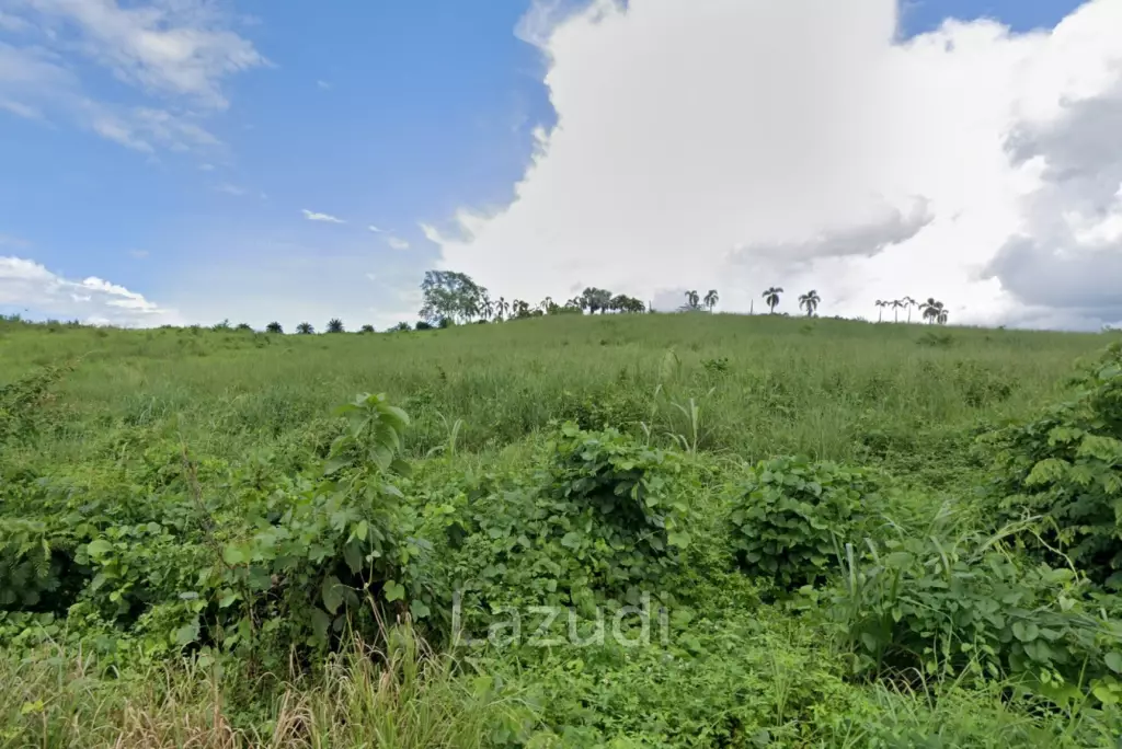 114 Rai Hilly Land for Sale with Doi Nang Non Mountain View