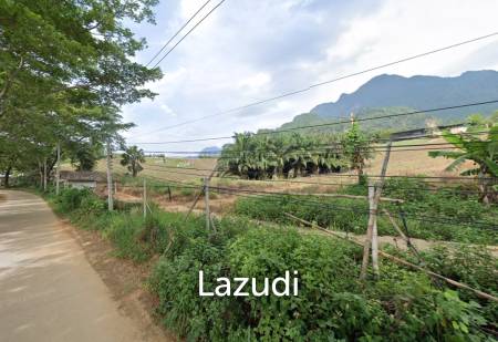 114 Rai Hilly Land for Sale with Doi Nang Non Mountain View