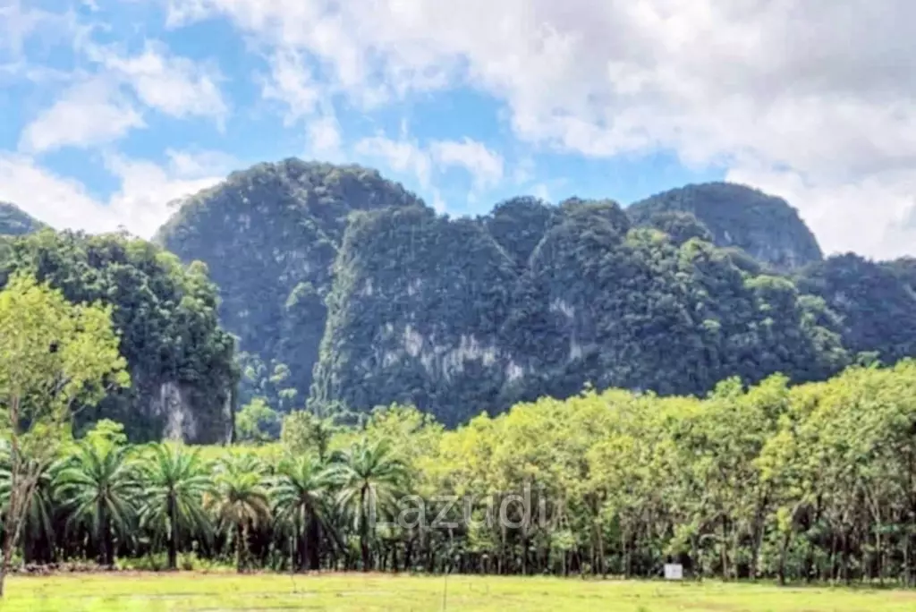 Land for Sale in Scenic Nong Thale Krabi