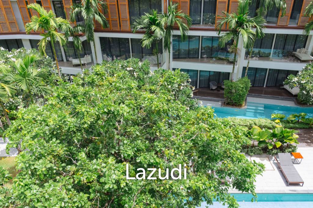Luxury Beachfront condo in the heart of the city
