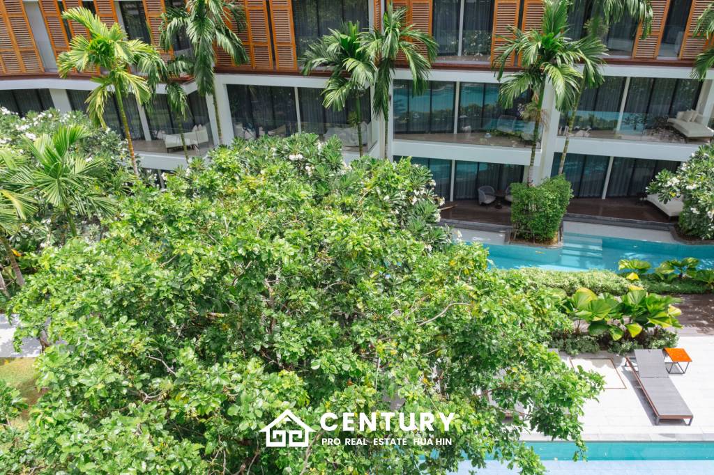 Luxury Beachfront condo in the heart of the city