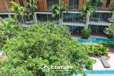 Luxury Beachfront condo in the heart of the city