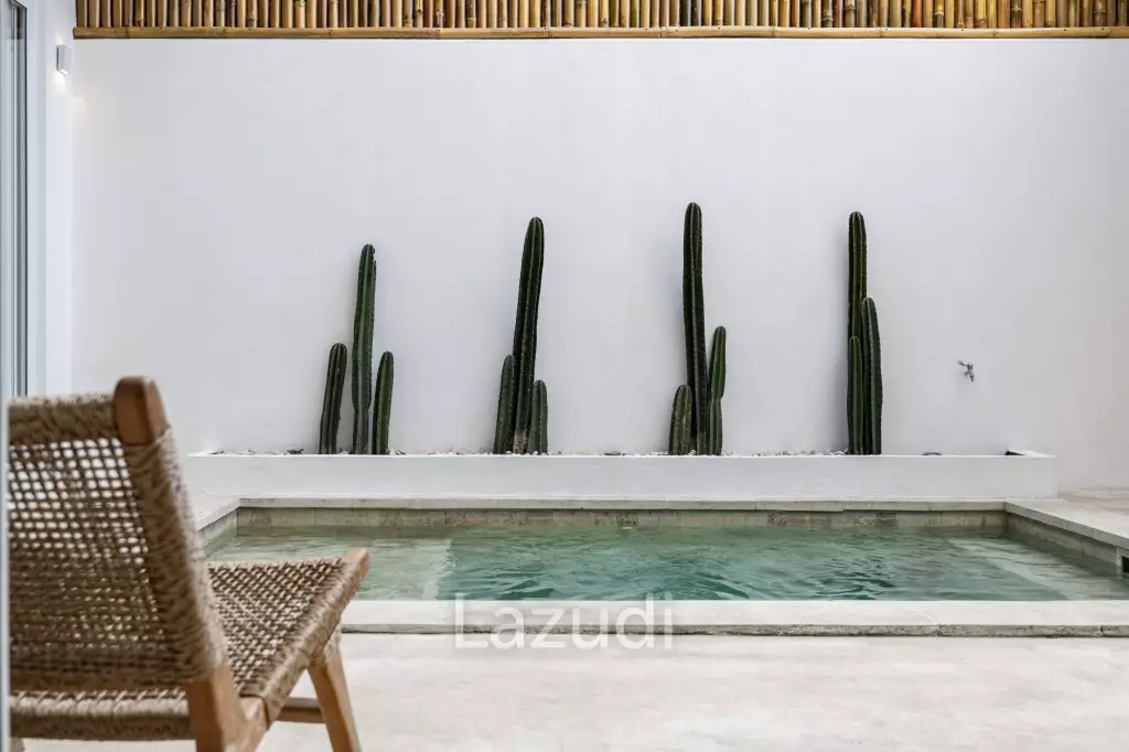 Villa on Cemagi Beach – Ready Business Investment