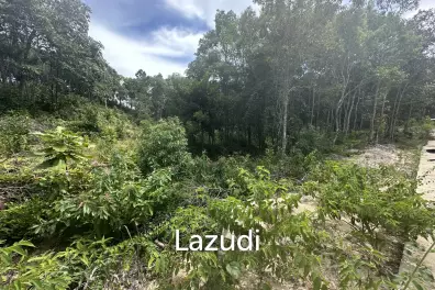 Excellent Investment in Coconutland