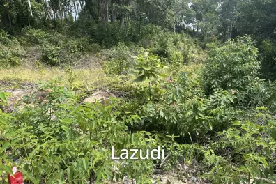 Excellent Investment in Coconutland