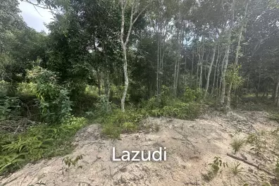 Excellent Investment in Coconutland
