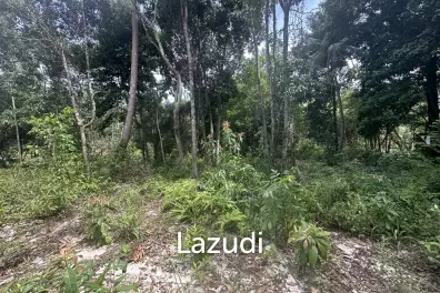 Excellent Investment in Coconutland