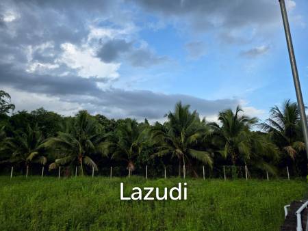 ขายบ้านในสวน 3 ห้องนอนและอาคารเอนกประสงค์ที่ อ.สันทราย