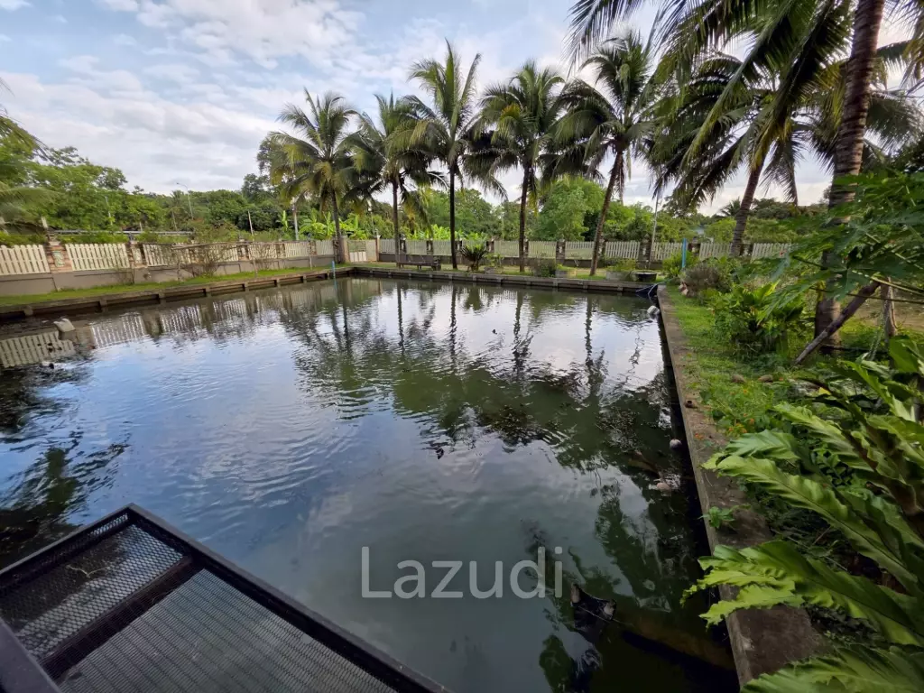 3 Bedrooms House For Sale surrounded by nature in San Sai